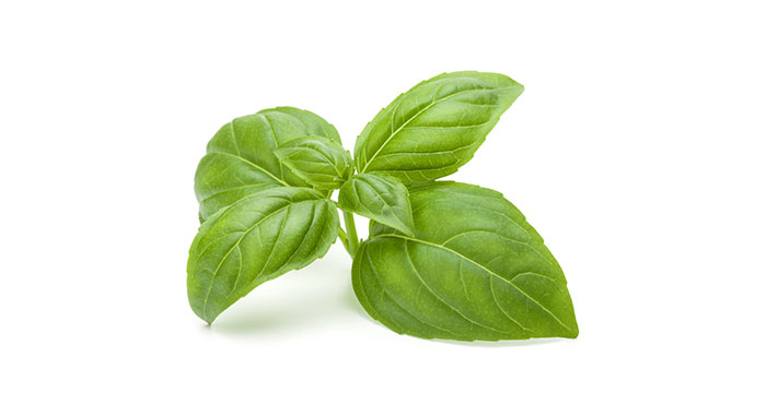 Herbs